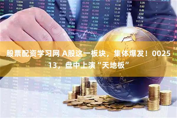 股票配资学习网 A股这一板块，集体爆发！002513，盘中上演“天地板”